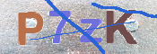 キャプチャ画像
