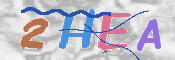 キャプチャ画像