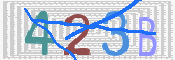 キャプチャ画像