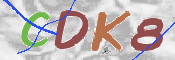 キャプチャ画像