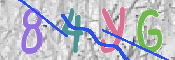 キャプチャ画像