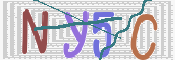 キャプチャ画像