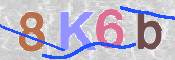 キャプチャ画像