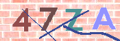 キャプチャ画像