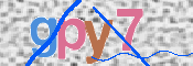キャプチャ画像