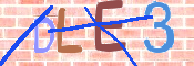 キャプチャ画像