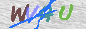 キャプチャ画像