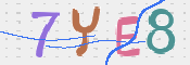 キャプチャ画像