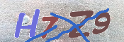 キャプチャ画像