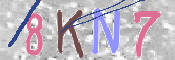 キャプチャ画像