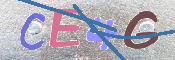 キャプチャ画像