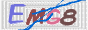 キャプチャ画像