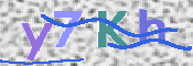 キャプチャ画像