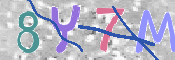 キャプチャ画像