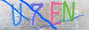 キャプチャ画像