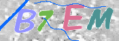 キャプチャ画像