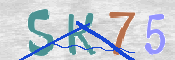 キャプチャ画像