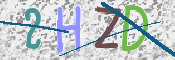 キャプチャ画像