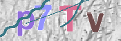 キャプチャ画像