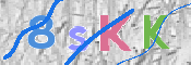 キャプチャ画像