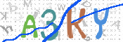 キャプチャ画像
